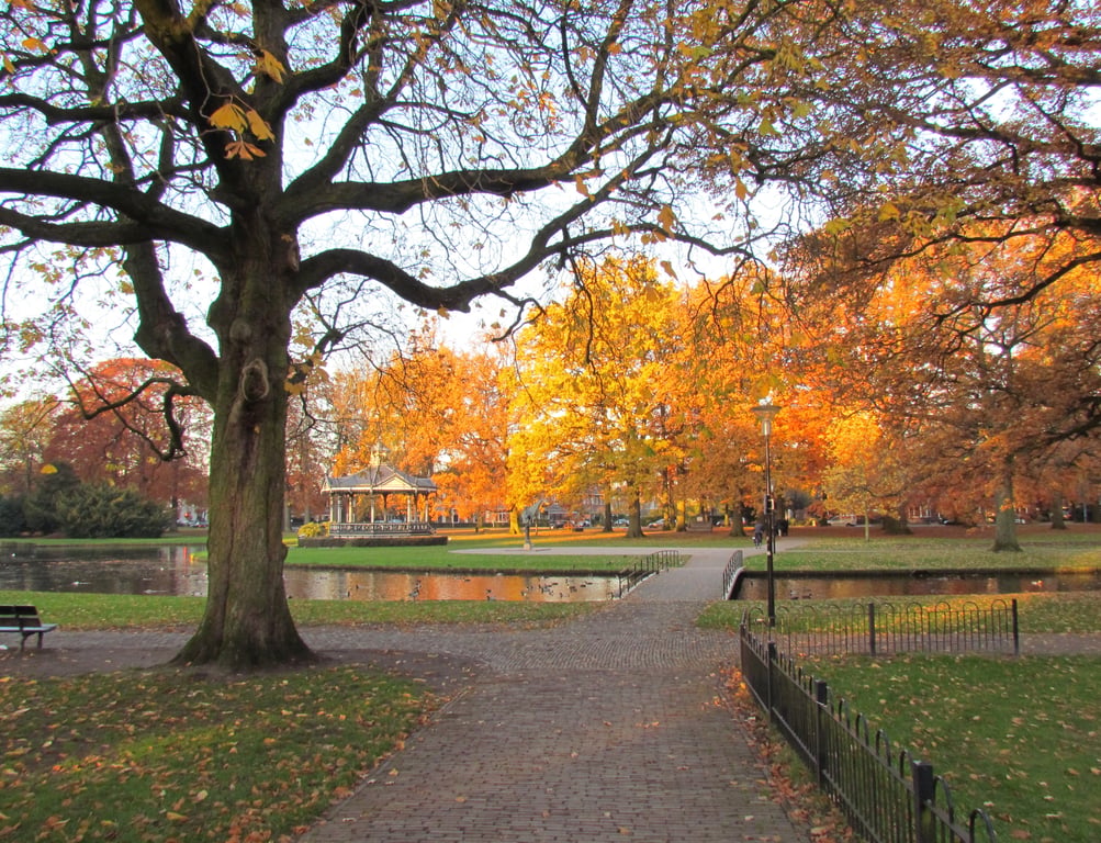 Herfst in het Oranjepark in Apeldoorn