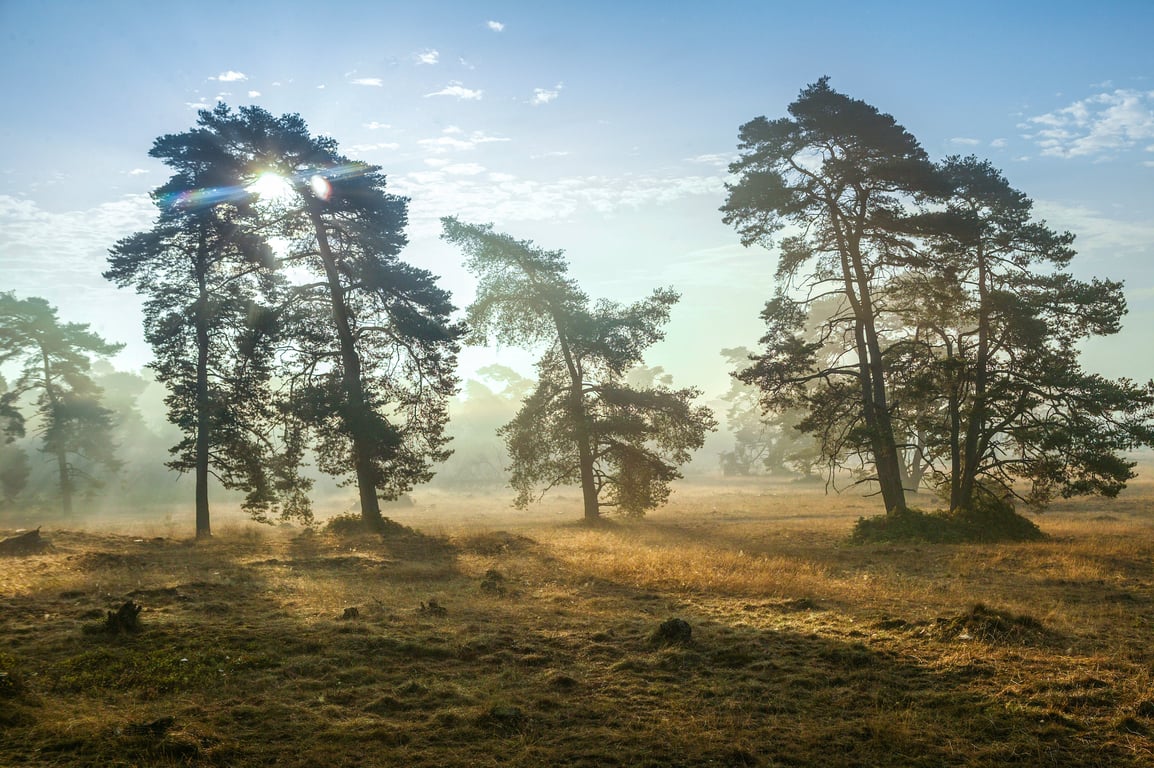 Apeldoorn (gemeente) op de Veluwe
